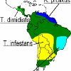 Distribution of Chagas' disease in humans in Central and South America. The disease occurs throughout the region, from northern Mexico to Rio Negro, Argentina. The light green, blue, light blue, and yellow shades indicate the principal vector species. Redrawn from U. S. Armed Forces Institute of Pathology