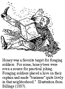 Stinging bees