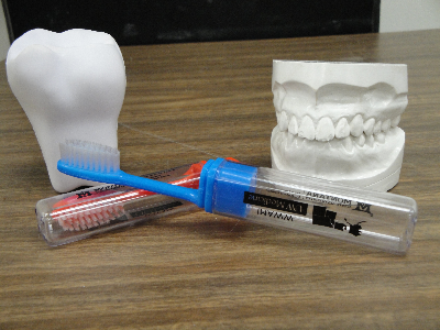 Toothbrushes, teeth, and jaw