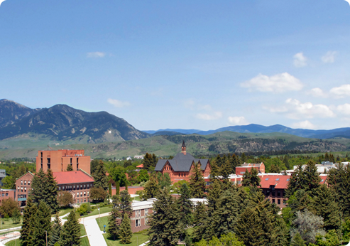 Discover MSU
