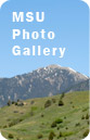 MSU Photo Gallery