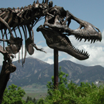 Big Mike, Museum of the Rockies Big Mike