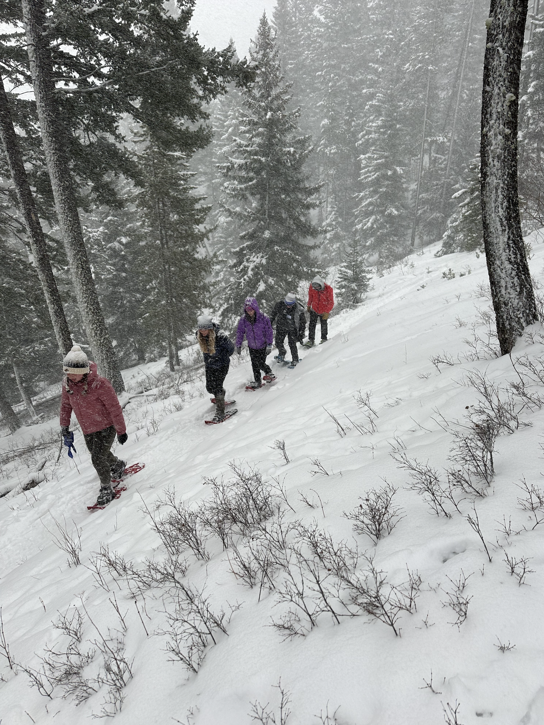 Students snow shoeing in a snowy mountain at the winter leafdership summit 