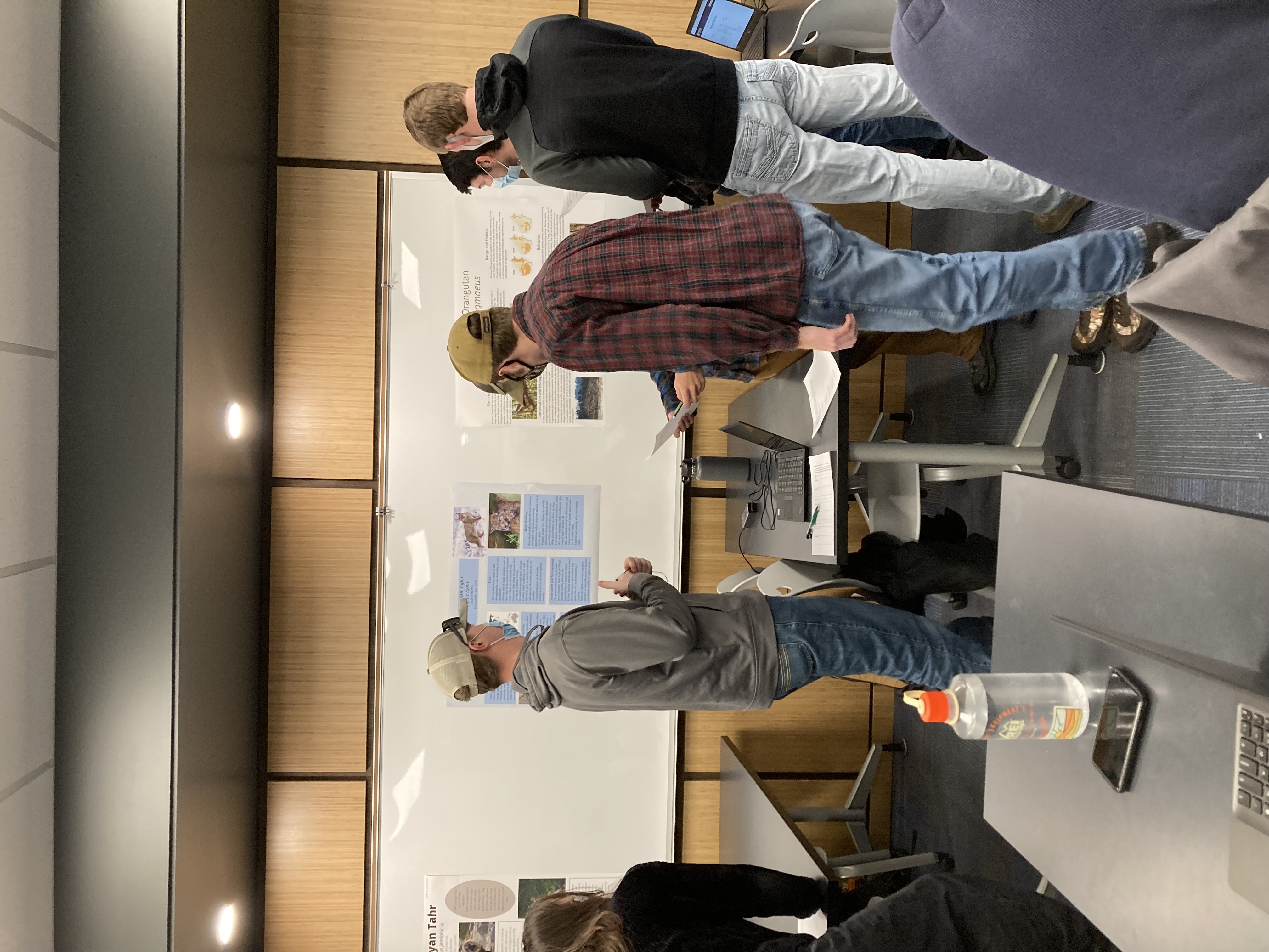 Students viewing posters