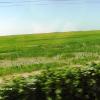 001 - Rice fields in the western end of the huge "Inner Delta" of the Niger River.
The Niger River flows east to near Timbuctu, Mali, then turns south and will
eventually turn west and drain in to the Atlantic Ocean through Nigeria.
This is the first photo in this series. There are 56 more
