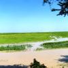 004 - Rice fields in the western end of the Niger River "Inner Delta"