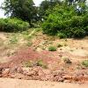033 - Tadiana (neighboring village to Sanambele) dry part of creek bed