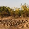 099 - Mud/Straw Bricks Drying in the Sun