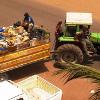 039 - Mali's answer to Waste Management trucks