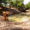100 - Dry season standing water in a near-by river bed, potential source of malaria-vectoring mosquitoes