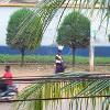 Bamako - hotel le Loft neighborhood