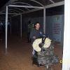 Sherrie Ewing, Northern Cheyenne EMT, Lame Deer, Montana, arrives at airport in Bamako, Mali