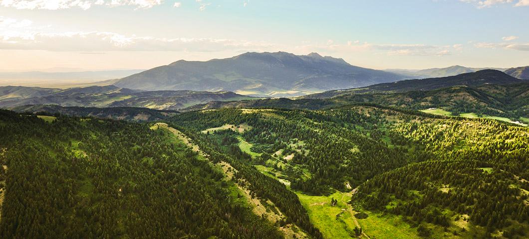 A mountain and green fields