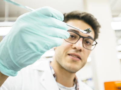 Student in a research lab examines a specimen