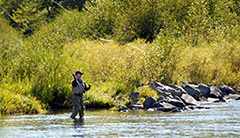 A man fishes on a Montana stream