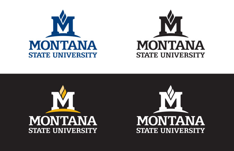 MSU logo color examples