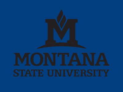 Black MSU logo on blue background