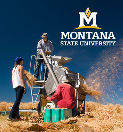 Photo of MSU Ag students with the MSU reverse color logo in the right hand corner