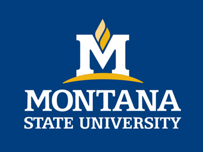MSU reverse color logo on a blue background