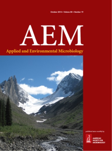 cover of AEM magazine