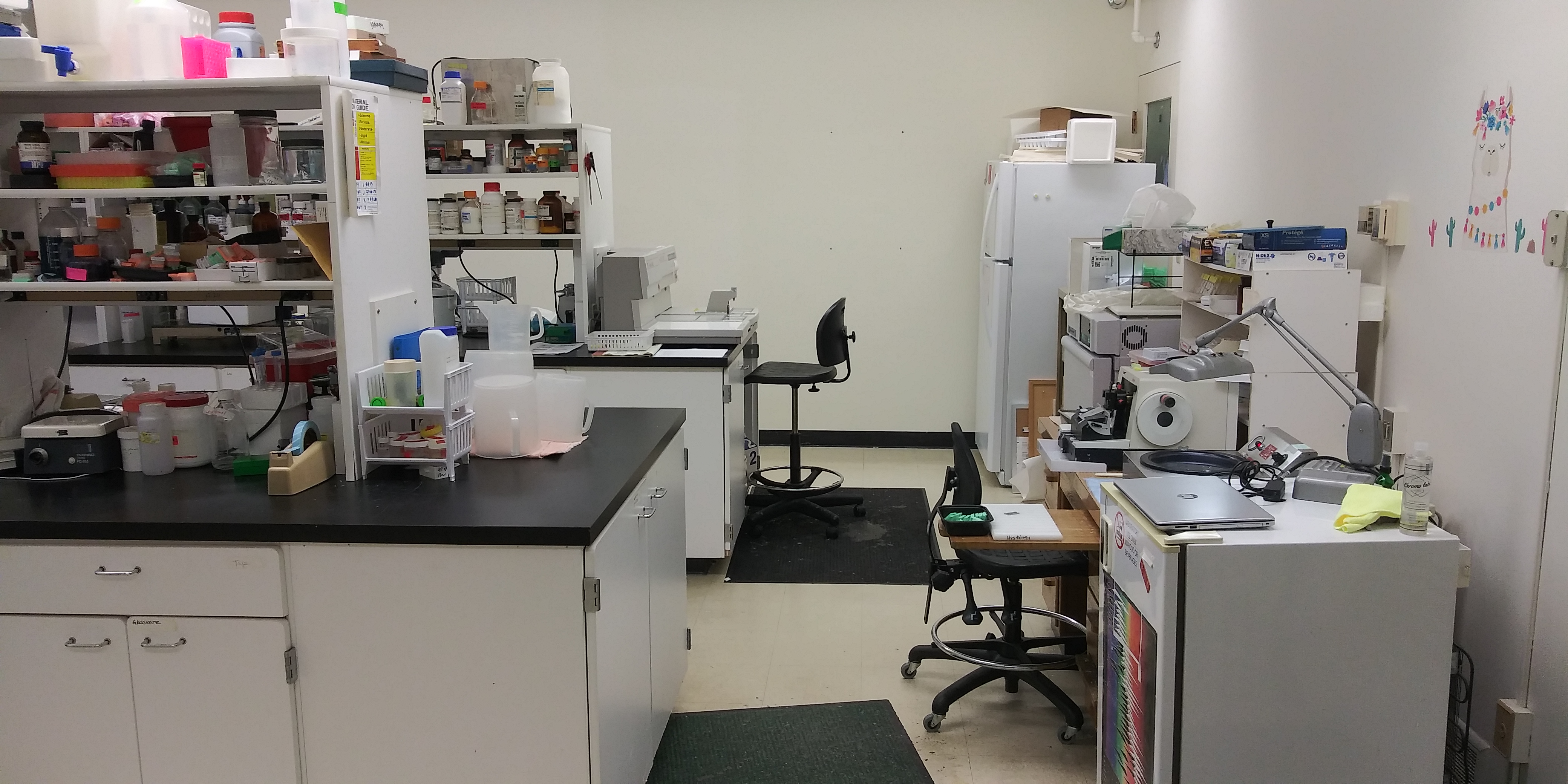 The lab has a Leica microtome for sectioning paraffin embedded tissue. There is also a Tissue Tek paraffin embedding station.