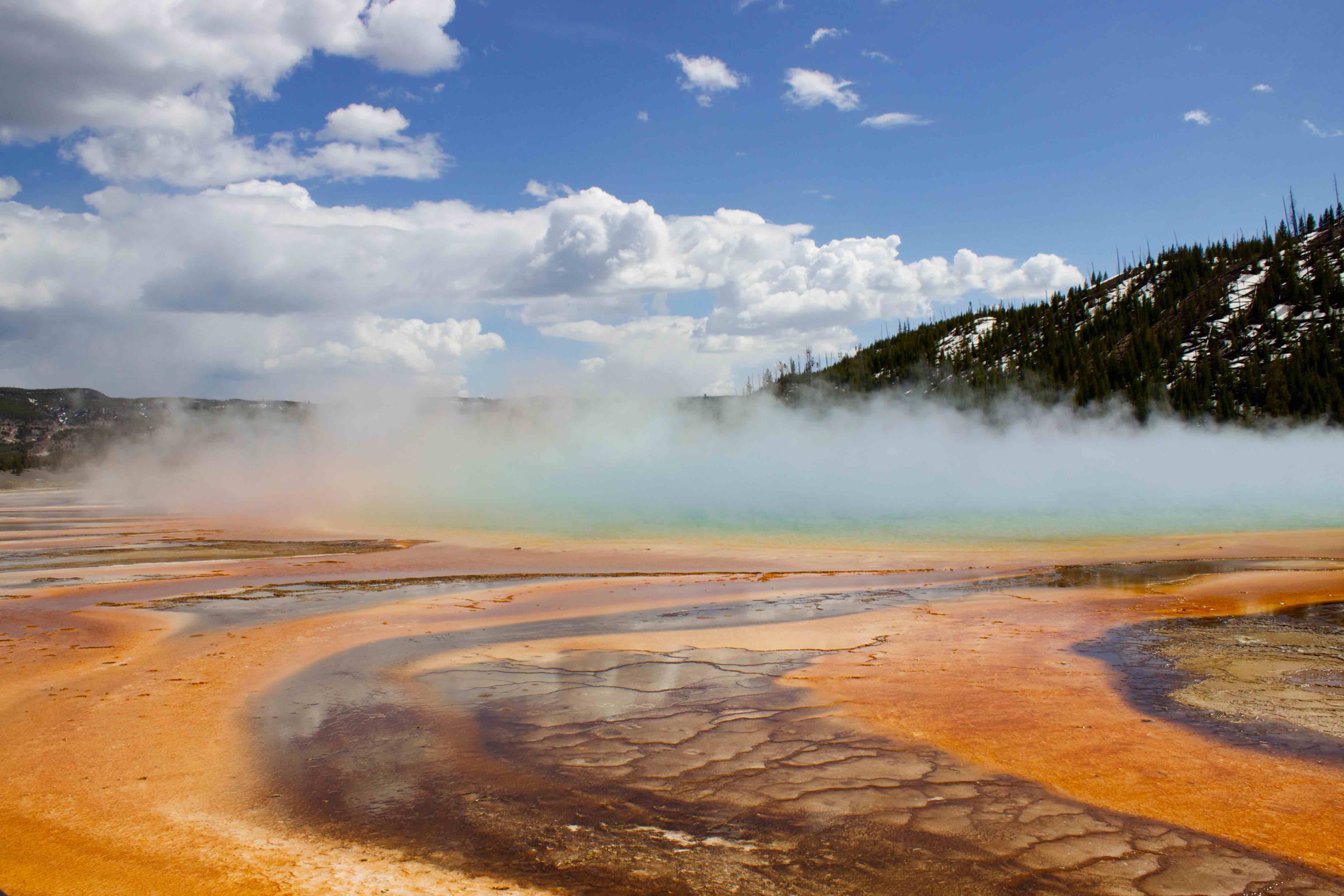 Microbial Mats at Grand Prismatic Springs - Photo Cred E. Boyd