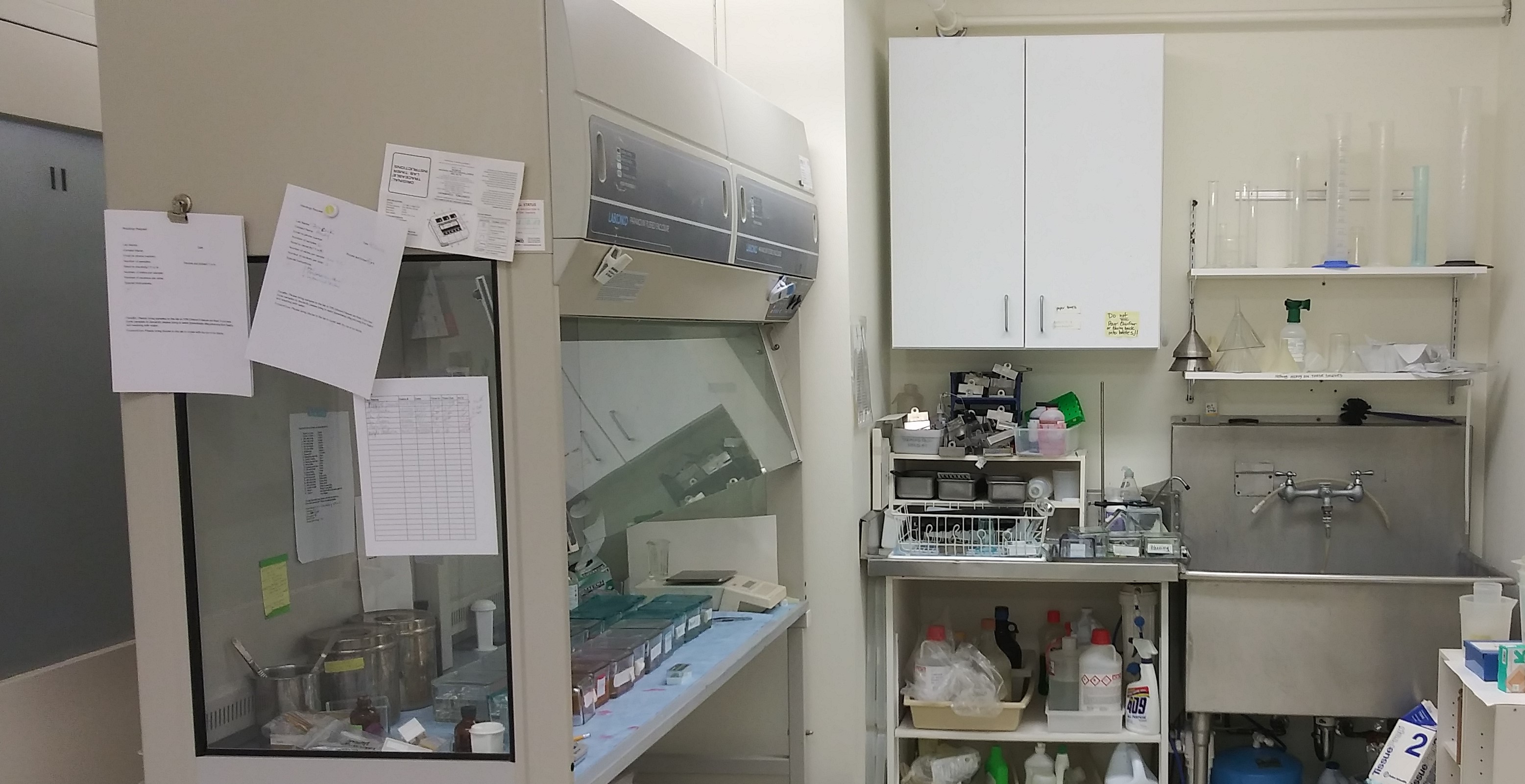 Histology lab has a slide staining station set up for immediate use. 