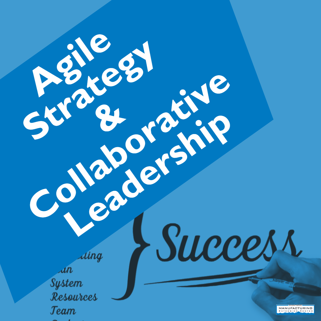 agile Strategies and Collaboration