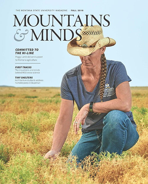 Mountains and minds cover photo, fall 2018