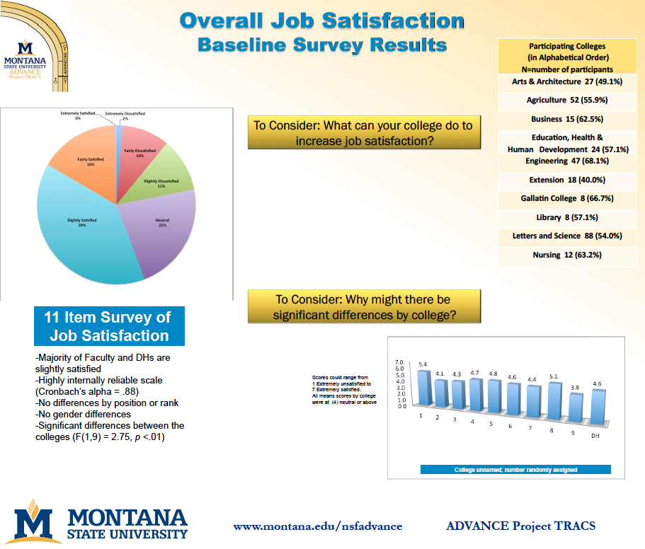 Overall Job Satisfaction