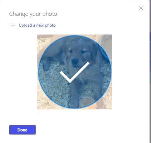 The same pop-up as before but this time the circle icon has an image of a puppy instead of the profile's initials.