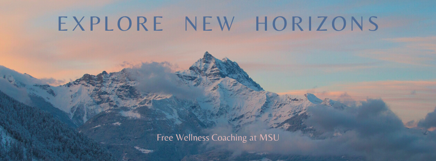 Wellness Coaching Mountains banner