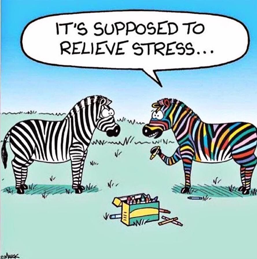 one zebra with color inbetween their stripes telling another zebra that he is coloring for stress relief