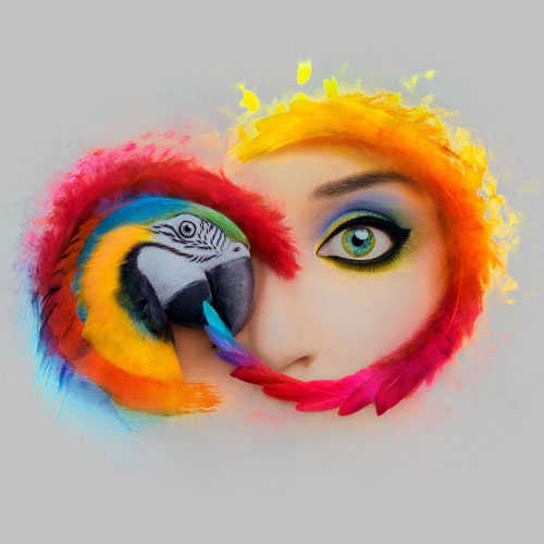 Get Adobe Creative Cloud Suite for Free