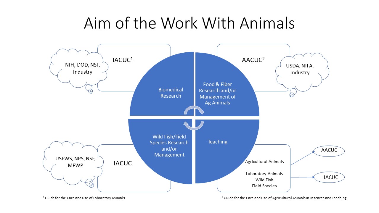 aim to work with animals chart