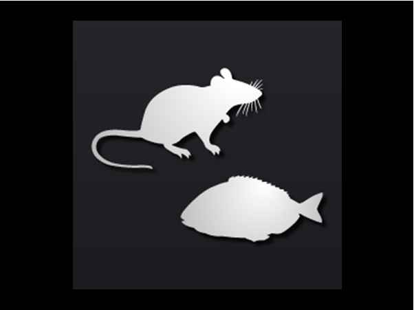 silhouette of mouse and fish
