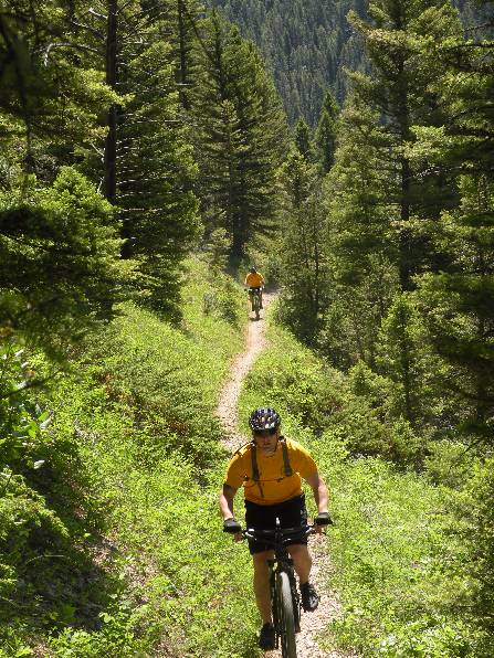 Trail biking 