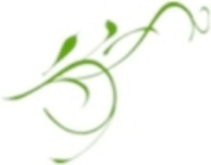 Vine Program