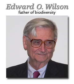 Father of Biodiversity, Edward O. Wilson