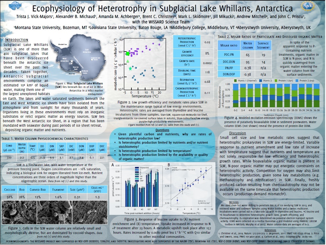 Vick-Majors Microenergy 2015