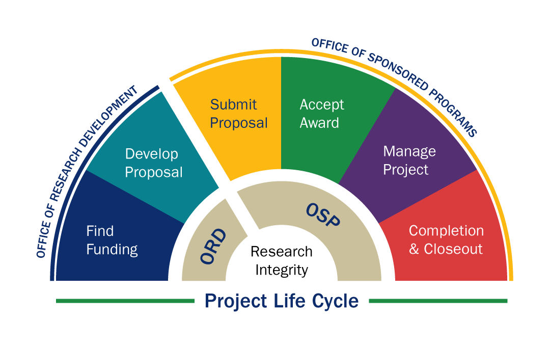 lifecycle graphic