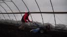 A worker using a rototiller to incorporate the compost into the soil