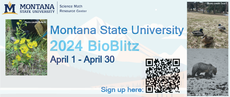MSU April 2024 BioBlitz
