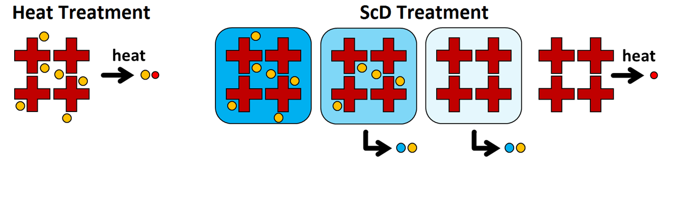 Nitrogen ScD