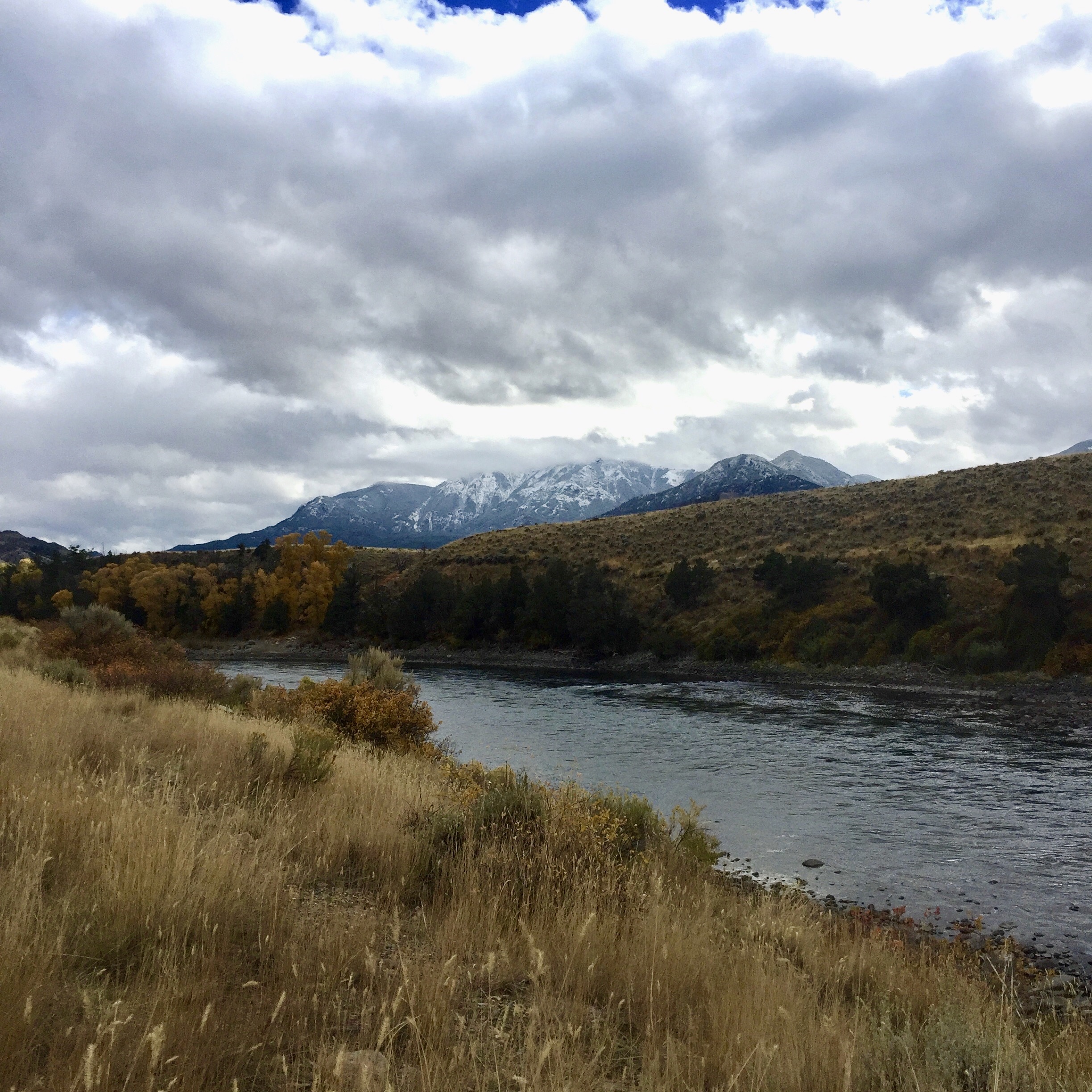 Landscape of the Yellowstone River with mountains in the background. Photo courtesy of Joshua Sie.