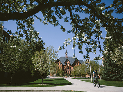 A man rides his bike past Montana Hall in the summer