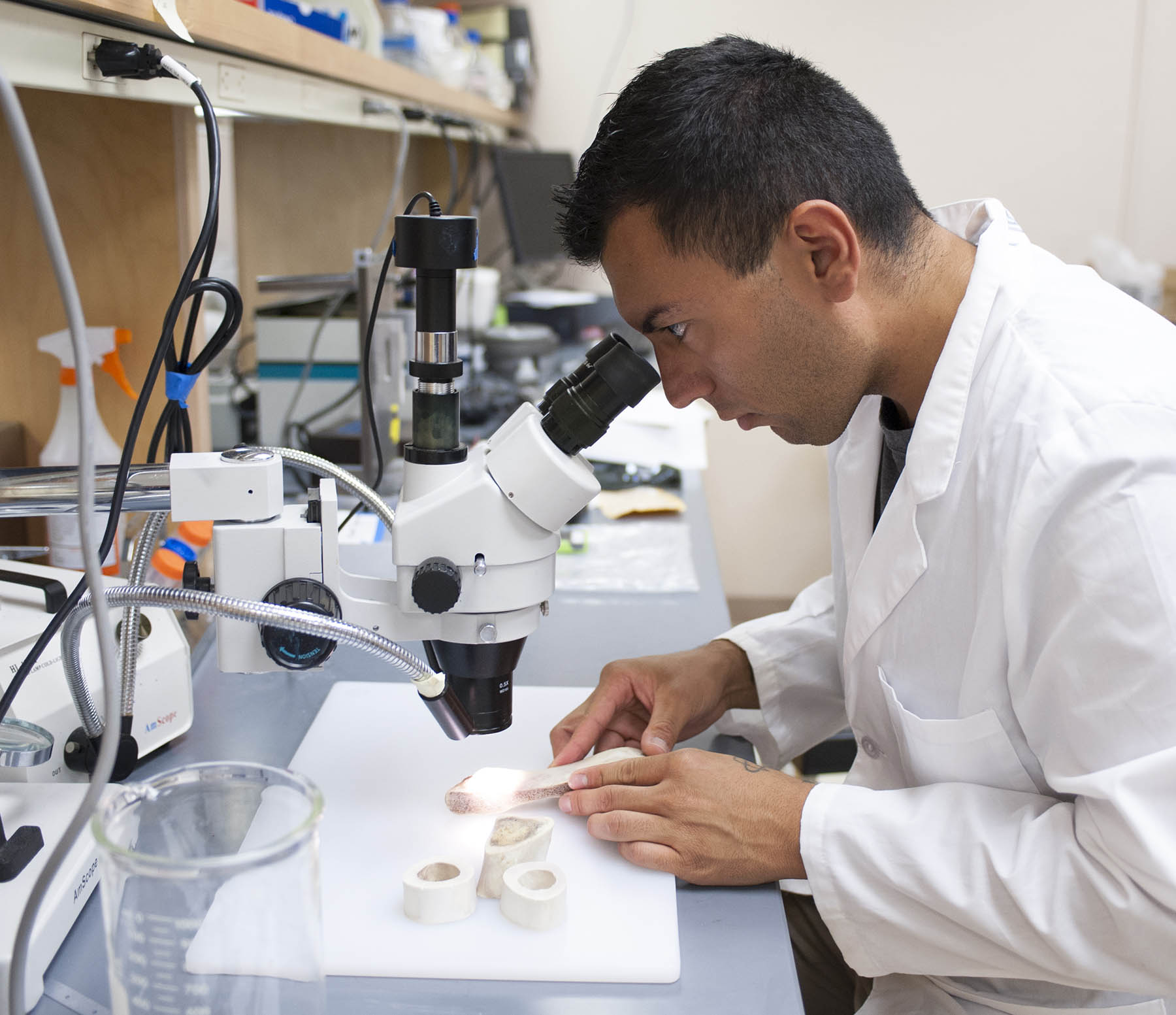 Michael Ruiz A picture of Michael Ruiz in his lab coat looking through a microscope at vertebrae