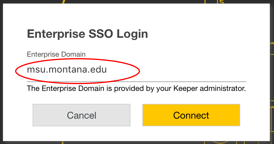 Screenshot of Enterprise SSO Login where domain is entered