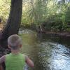 Speeding Down the Creek