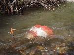 Sample Collectors in the River Flow